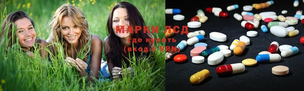 гидропоника Алзамай