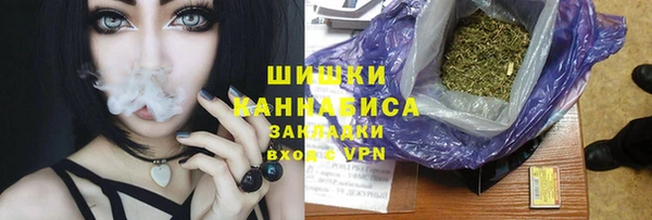 шишки Кодинск